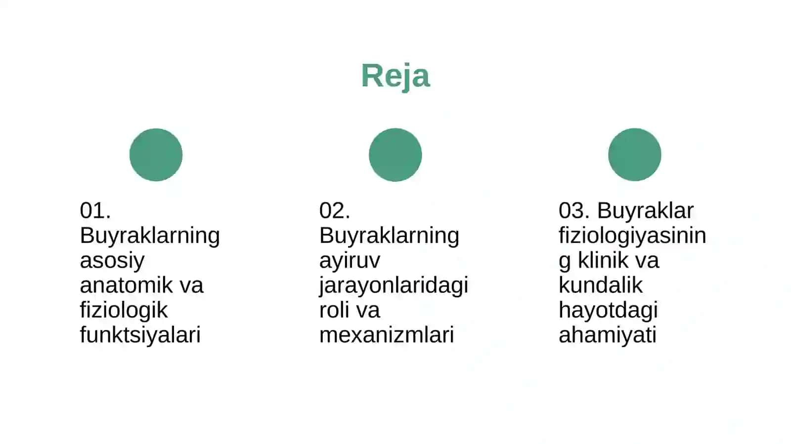 Ayiruv sistemasi. Buyraklar fiziologiyasi 2