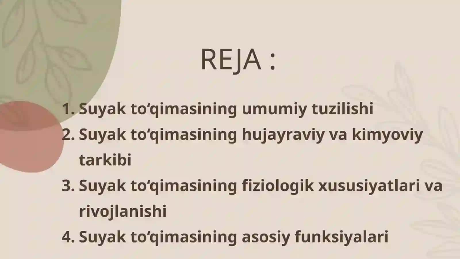 Suyak to‘qimasining tuzilishi va funksiyasi 2