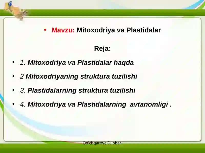 Mitoxodriya va Plastidalar 2