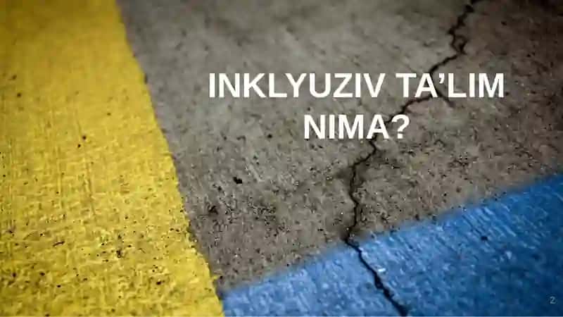İnklyuziv ta'lim 2