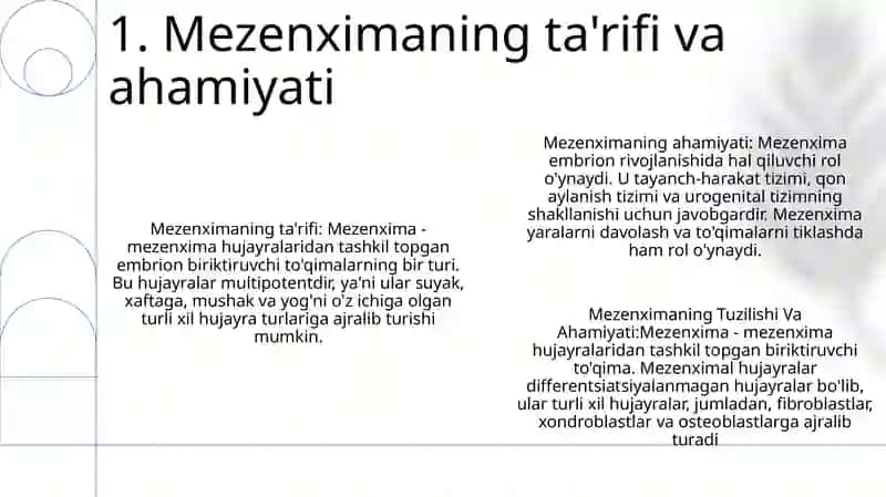 Mezenximaning Tuzilishi Va Ahamiyati 2