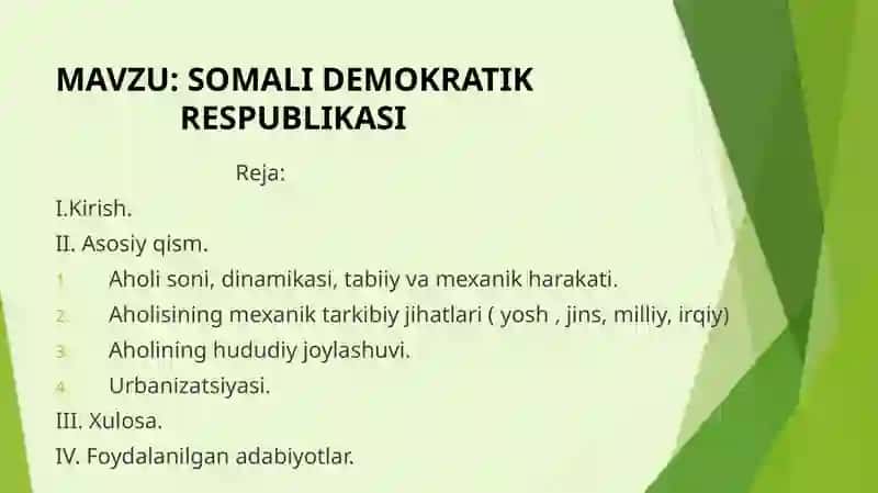 SOMALI DEMOKRATIK RESPUBLIKASI 2