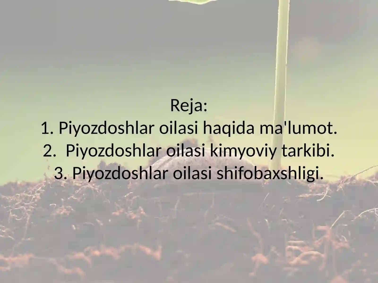 PIYOZDOSHLAR OILASINING BIOEKOLOGIK VA DORIVORLIK XUSUSIYATLARI 2
