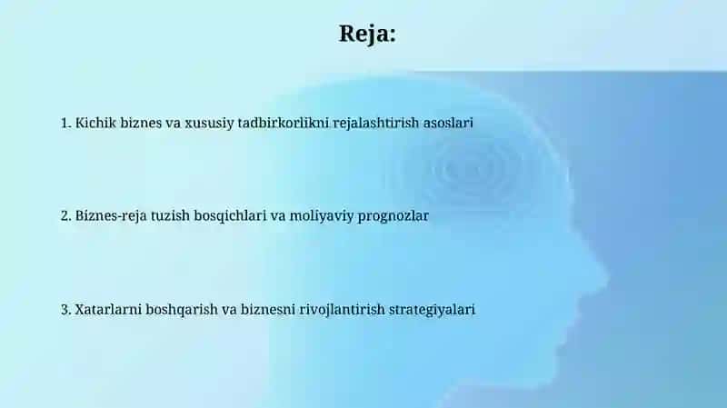 Kichik biznes va xususiy tadbirkorlikni rejalashtirish 2