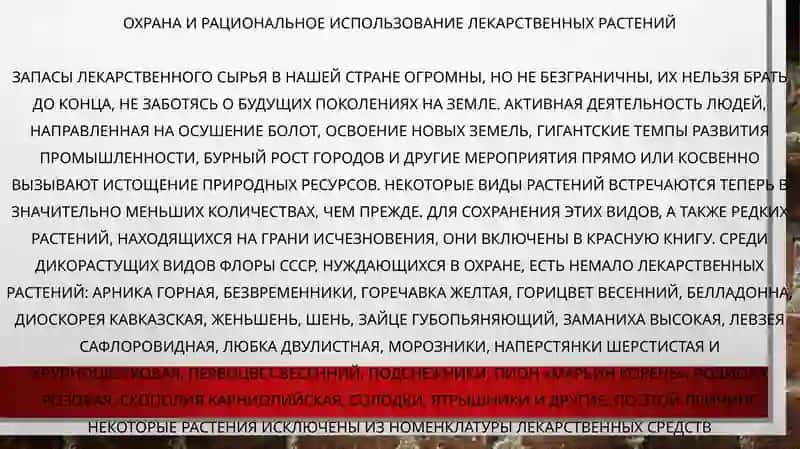 ЛЕКАРСТВЕННЫЕ РАСТЕНИЯ ИХ ОХРАНА 2