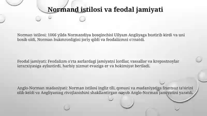 Anglo-Norman madaniyati 2