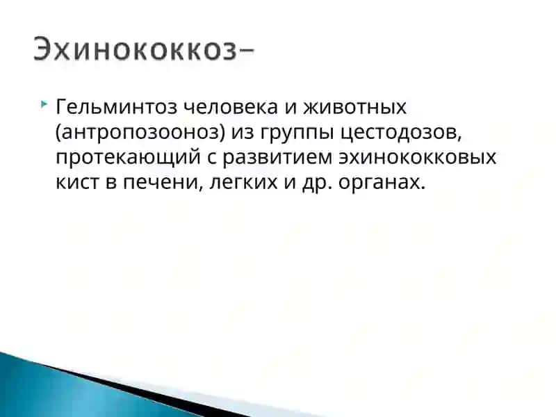 Гельминтоз человека и животных 2
