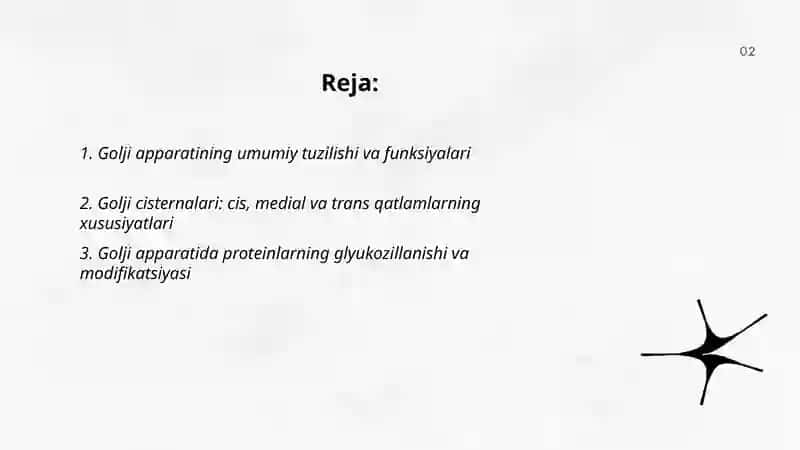 Sitoplazmaning organoidlari-golji apparati va lizosomaning tuizlishi. Kiritmalar 2