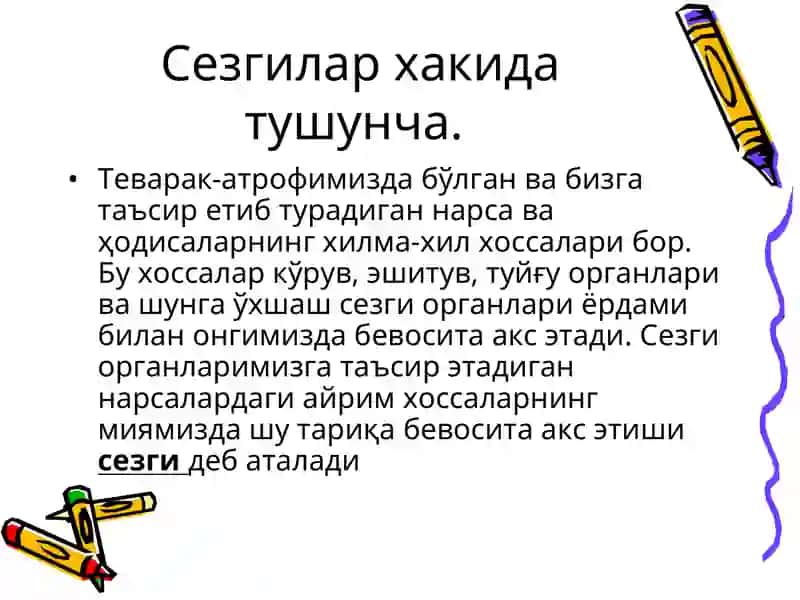 Сезги 2