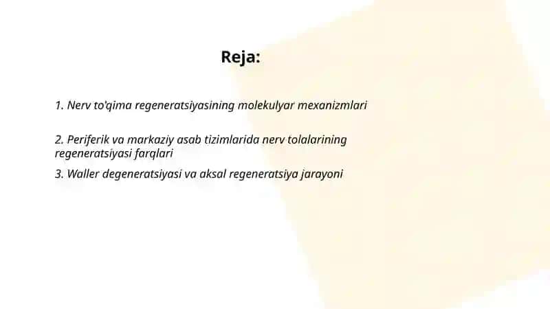 Nerv tòqima regeneratsiyasi 2