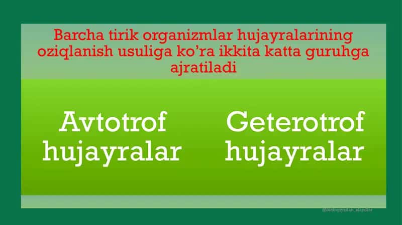 Hujayraning oziqlanishi 2