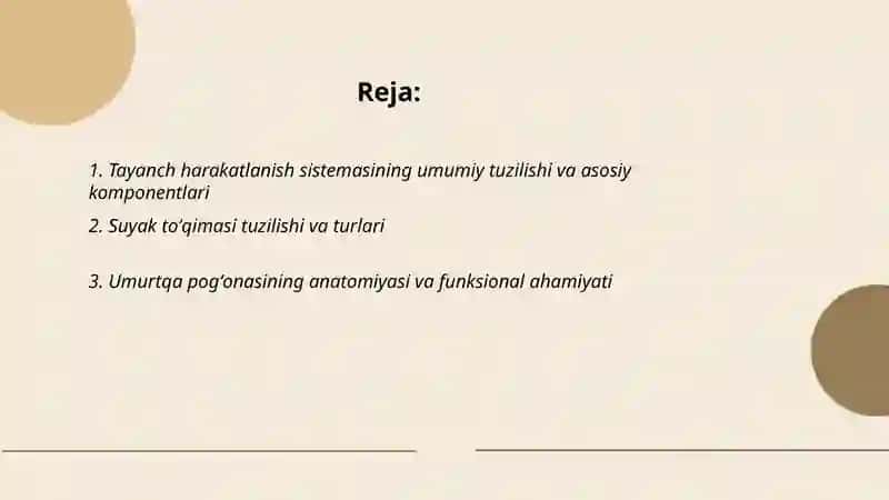 Tayanch harakatlanish sistemasi tuzilishi va ahamiyati 2