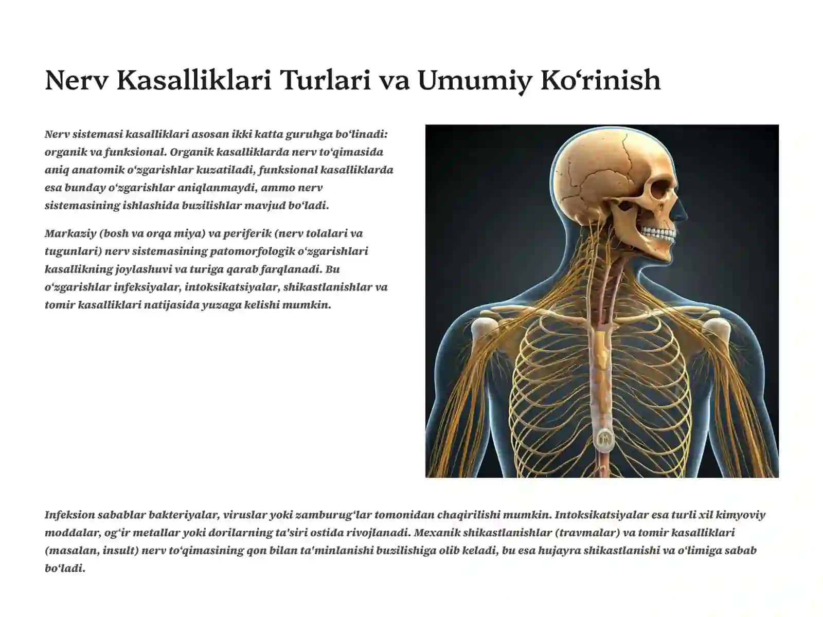 Nerv Sistemasi Organ Kasalliklarining Patomorfologiyasi 2
