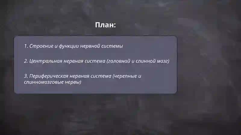 Нервная система 2