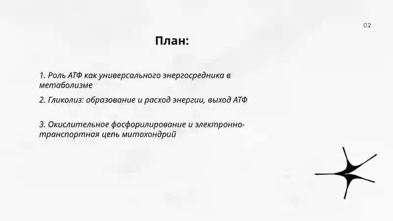 Образование и потребление энергии в процессе метаболизма 2