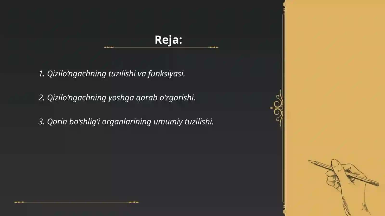 Qizilo‘ngach, qorin bo‘shlig‘i a‘zolari haqida umumiy ma‘lumot 2