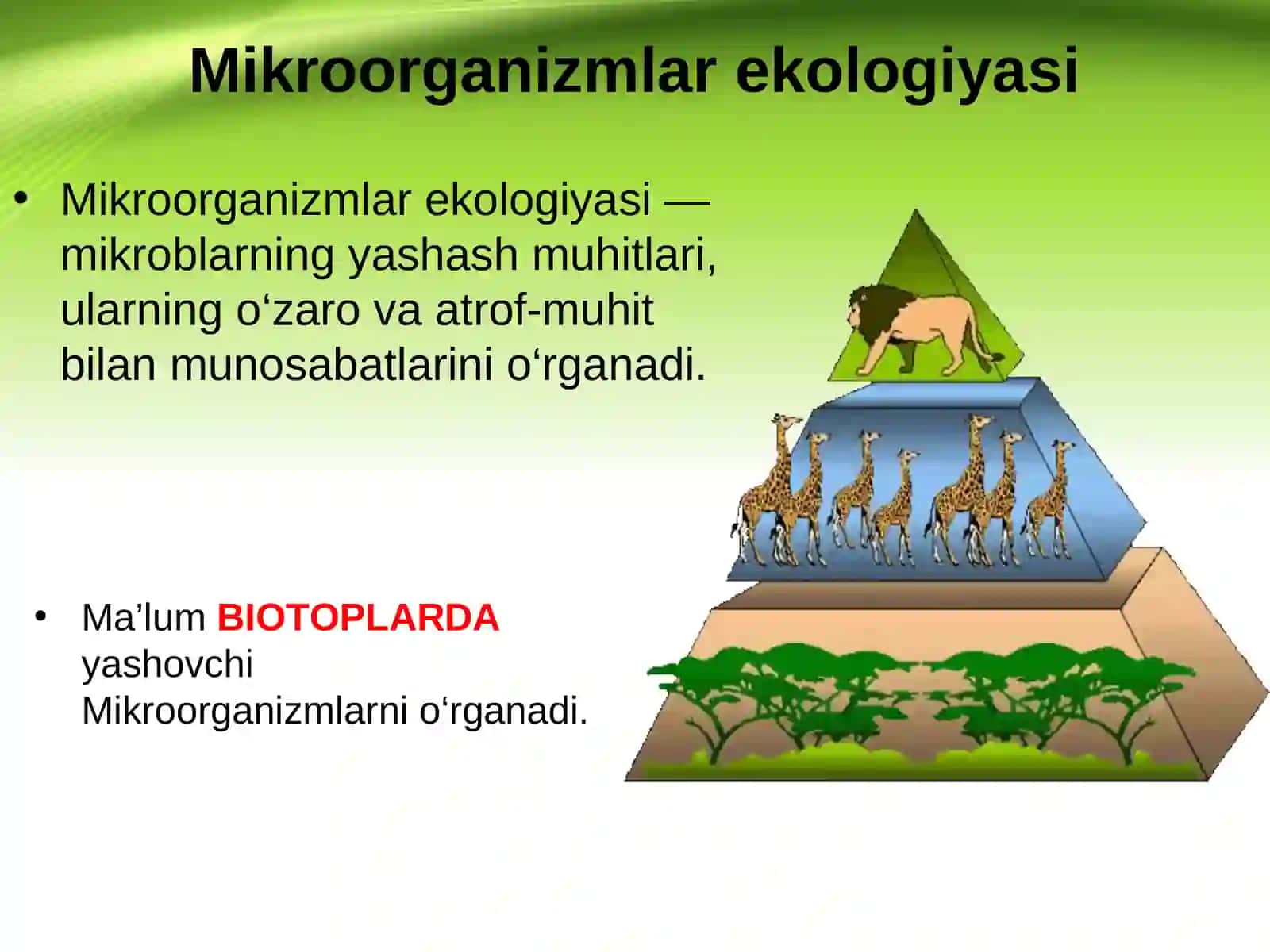 MIKROORGANIZMLAR EKOLOGIYASI. SUV, TUPROQ, HAVO MIKROFLORASI 2