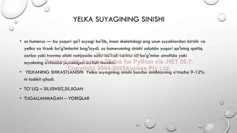 Yelka Suyagi 2