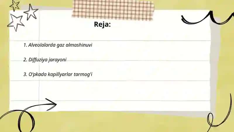 O‘pkada gaz almashinuvining fizik va biologik mexanizmlari 2