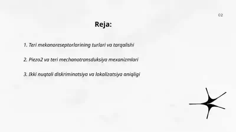 Sensor retseptsiya, teri analizatori lokalizatsiyani aniqlash 2