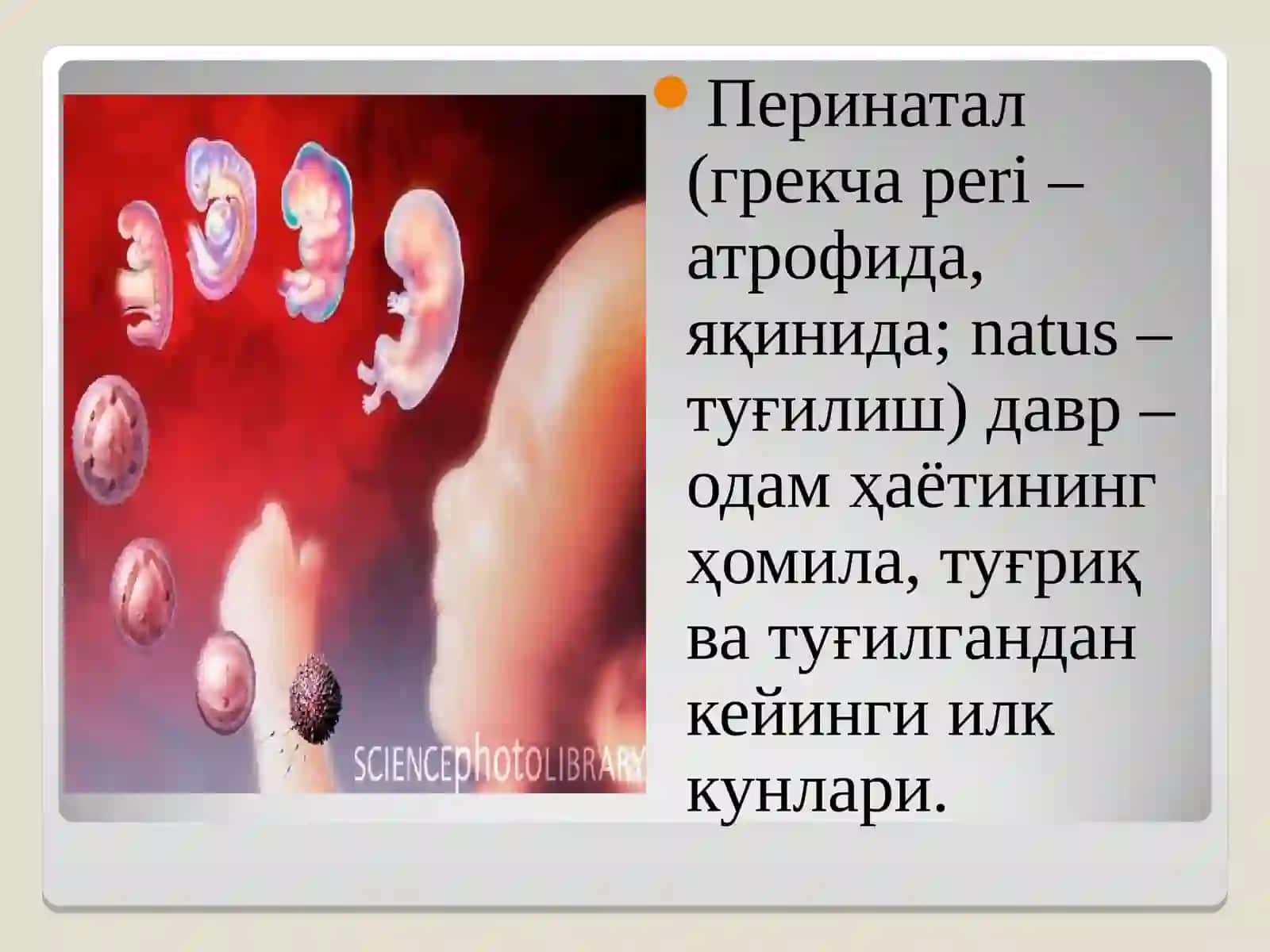 Перинатал ва чақалоқлик даврларида психофизиологик хусусиятлар 2