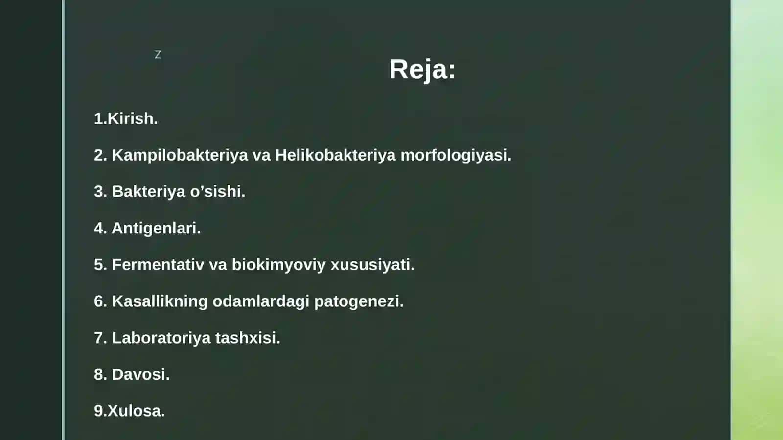 Kampilobakteriyalar, helikobakteriyalar va ularning amaliyotdagi ahamiyati. Ularning keltirib chiqargan kasalliklar, laborator tashxisi 2