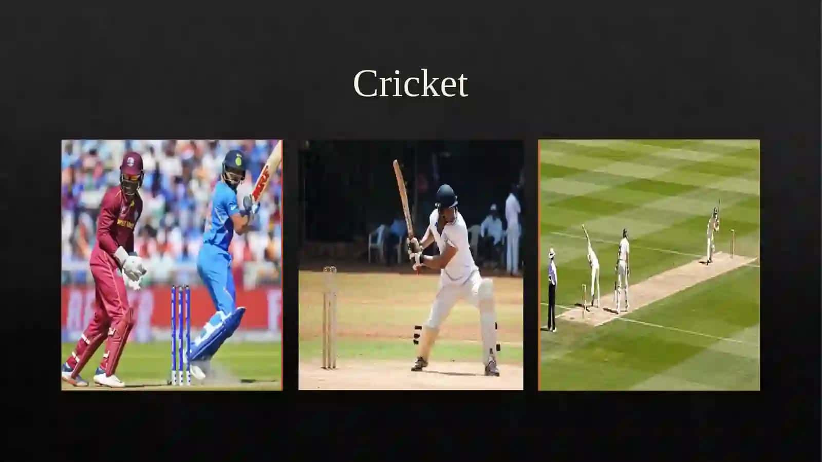 Cricket Game 2