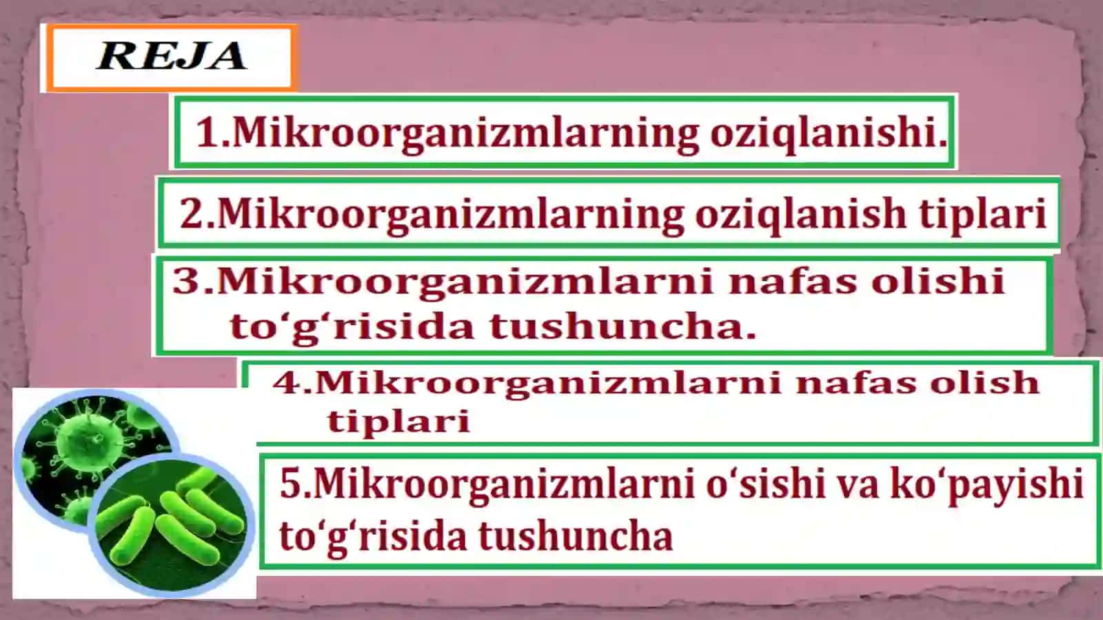 Mikroorganizmlar fiziologiyasi 2