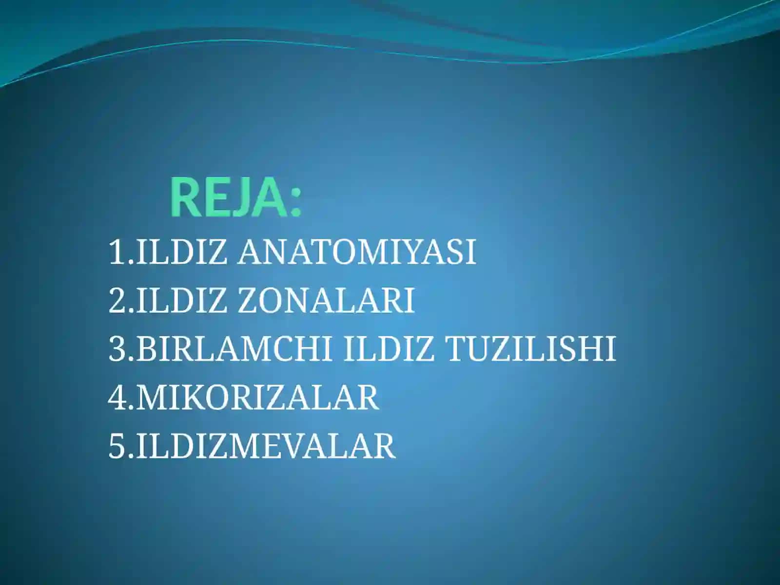 ILDIZ ANATOMIYASI 2