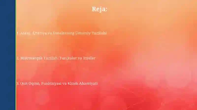 Aorta, Arteriya va Venalarning Umumiy Tuzilishi 2