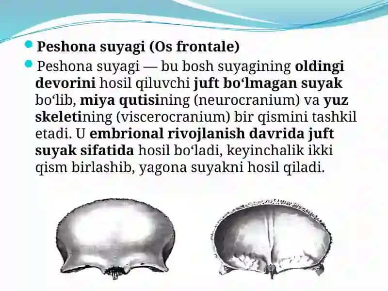 Peshona Suyagi 2