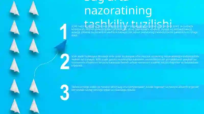 Sug'Urta Tashkilotlarida Nazorat Ishlarini Tashkil Etish 2