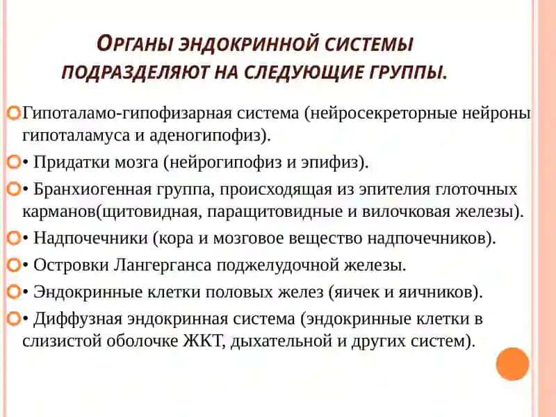 АФО органов эндокринной системы и семиотика их поражения 2