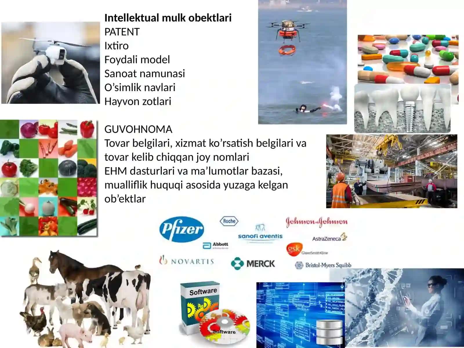 Intellektual mulk ob'ektlarini muhofaza qilish usullari 2