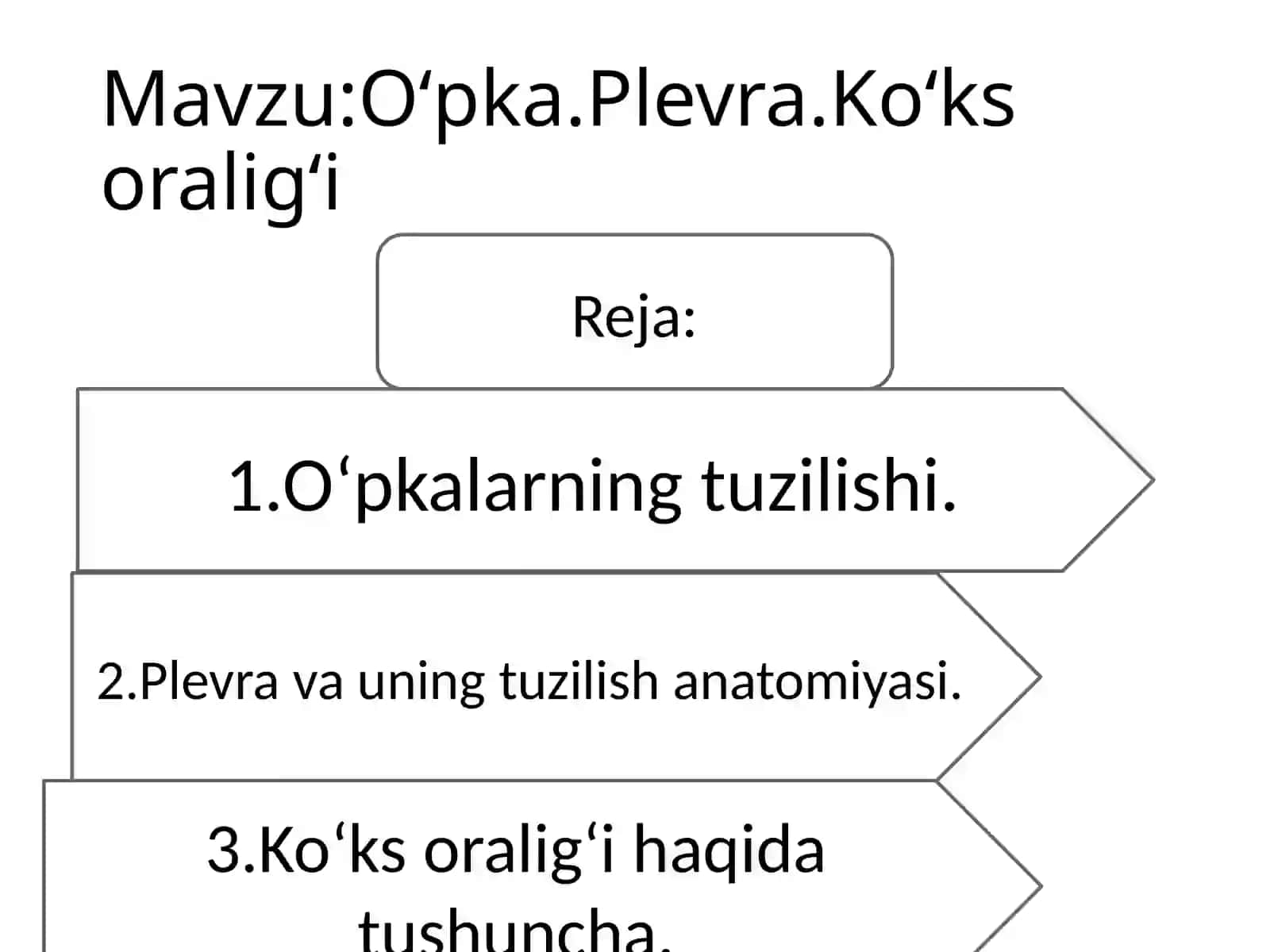 Oʻpka.Plevra.Koʻksoraligʻi 2