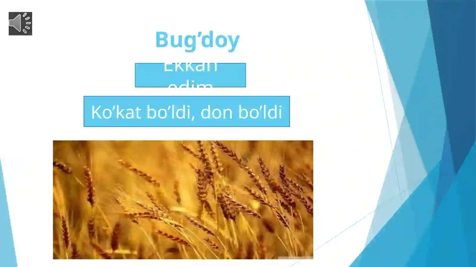 BUG’DOY she’ri Bolajonlar uchun taqdimot 2