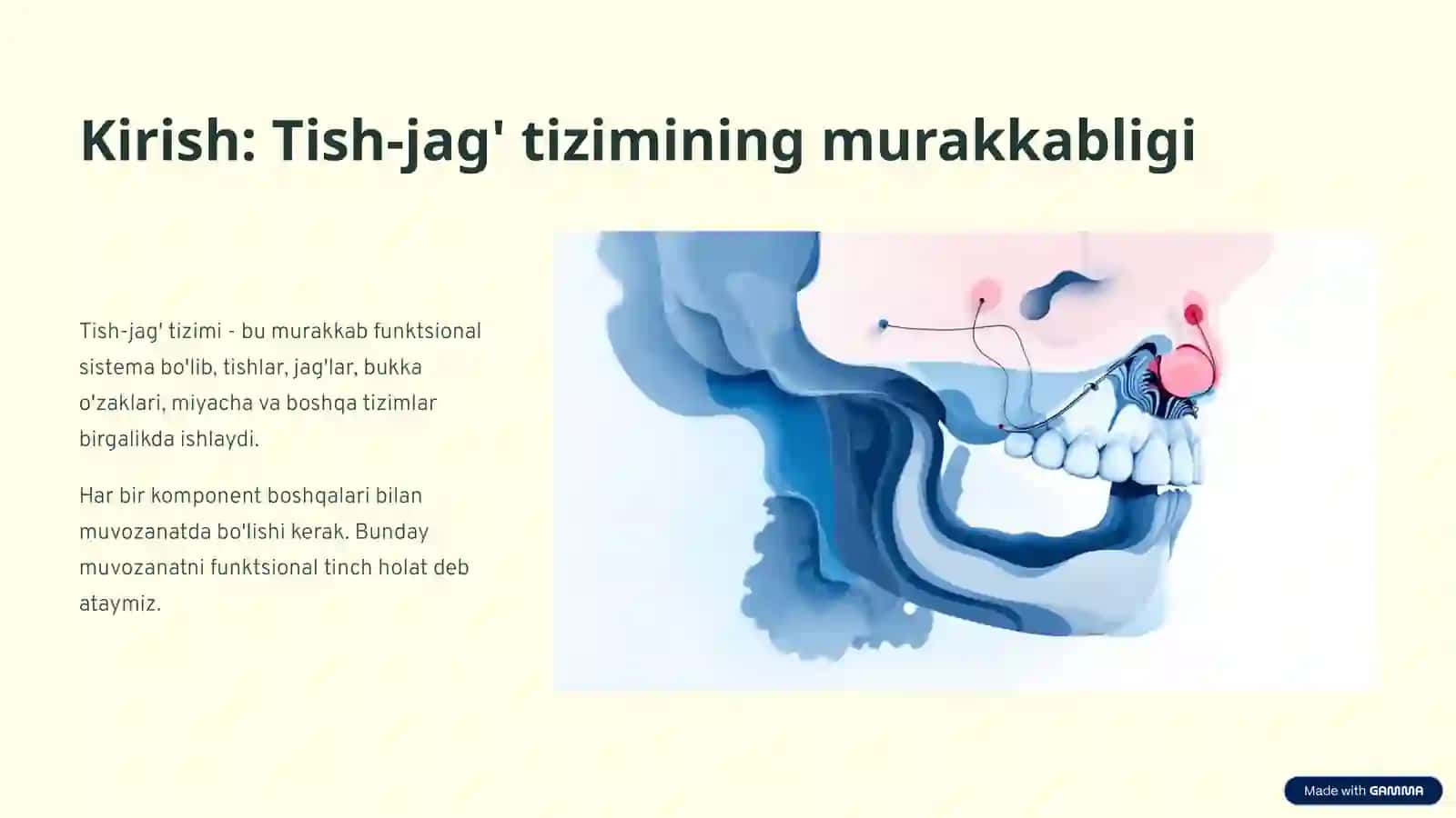 Funktsional tinch holat: stomatologiyada organning funktsional elementi 2