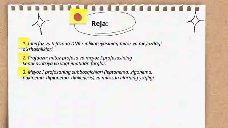 Mitoz va meyoz fazalarining o’xshashlik va farqli tomonlari 2