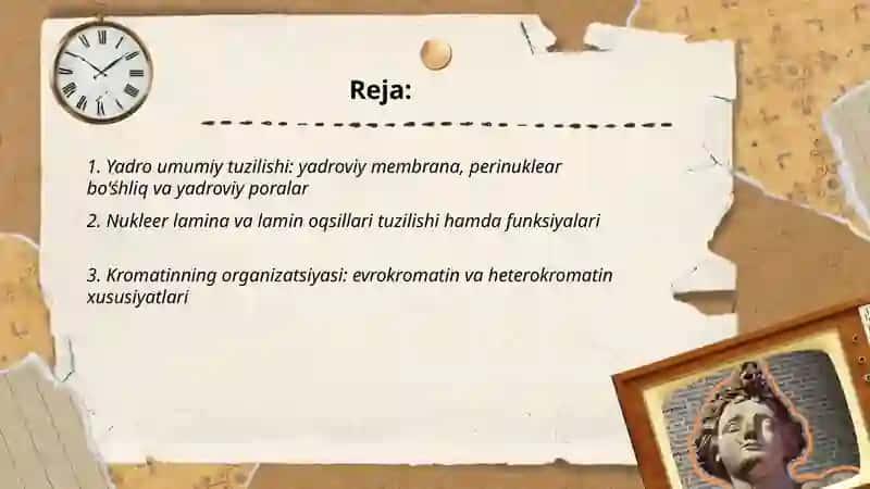 Hujayra yadrosi. Tuzilishi, funksiyalari, yadro bilan bog’liq patologik o’zgarishlar 2