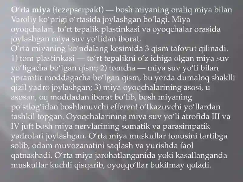 Oʻrtamiya,oraliqmiya,oxirgimiya, 3-qorincha 2