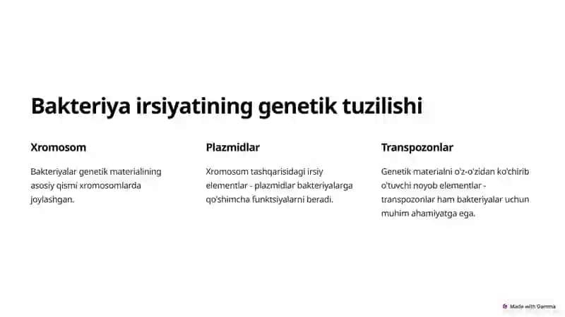 Bakteriya irsiyatining xromosomaga taalluqli bo'lmagan omillari 2