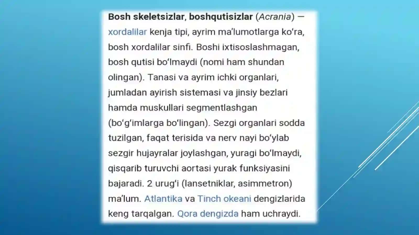 Boshskeletsizlarkenjatipi.lansetnikninghayotkechirishi 2