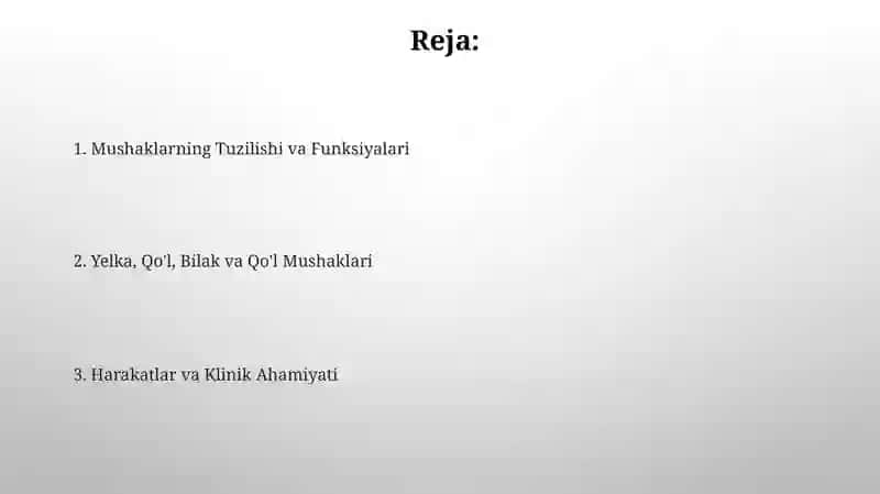 Chanoq, son, boldir va panja mushaklari 2