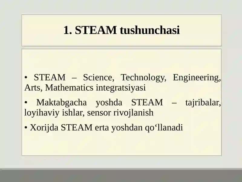 Steam ta'lim texnologiyasida xorijiy tajribalar tahlili 2