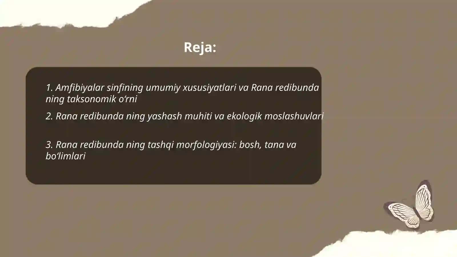 Suvda ham quruqda yashovchilar-Amphibia yoki amfibiyalar sinfi. Ko‘l baqasi-Rana redibunda ning tashqi tuzilishini va skeletini oʻrganish. Ko‘l baqasi-Rana redibunda ning ichki tuzilishini oʻrganish 2