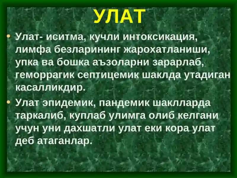 Улат 2