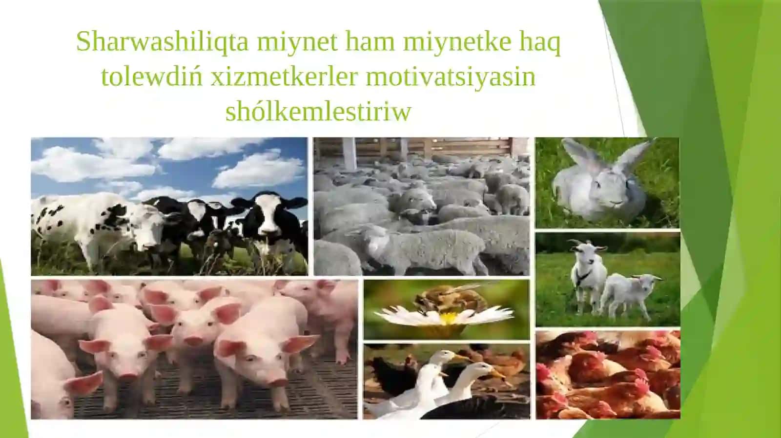 Sharwashiliqta menejment ham islep shiǵariwdi shólkemlestiriw 2