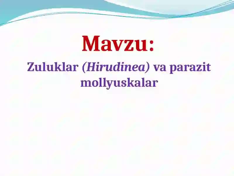 Zuluklar(Hirudinea)va parazitmollyuskalar 2