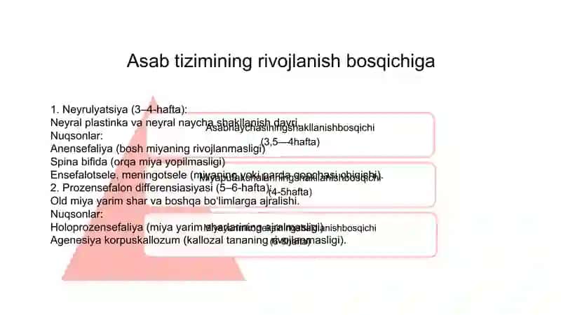 Bosh miya va orqa miya tug'ma rivojlanish nuqsonlari 2