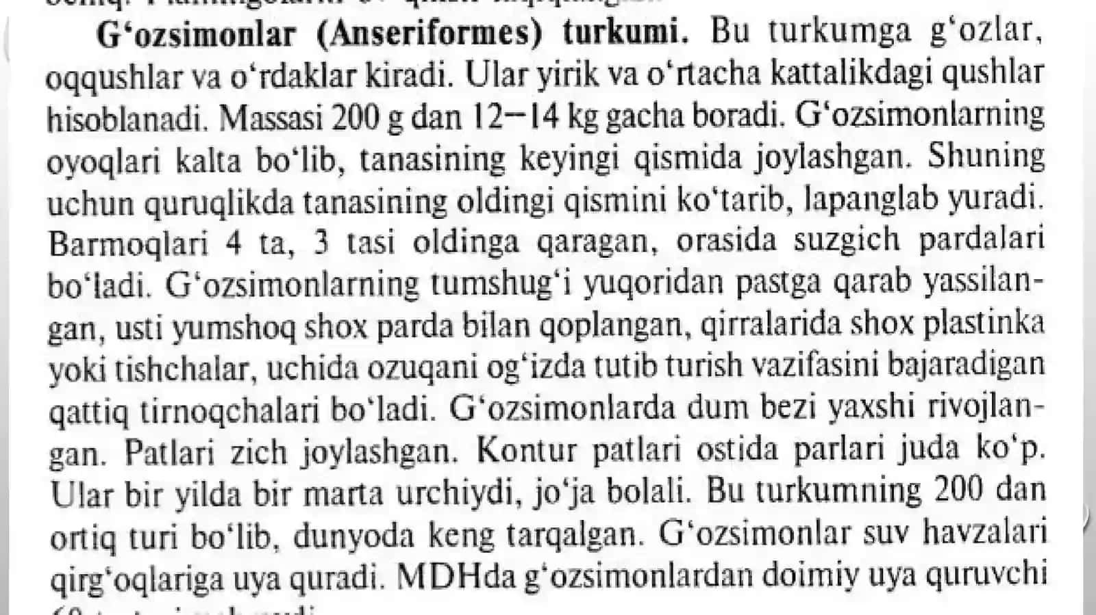 Oqqushlar haqida umumiy maʼlumotlar 2